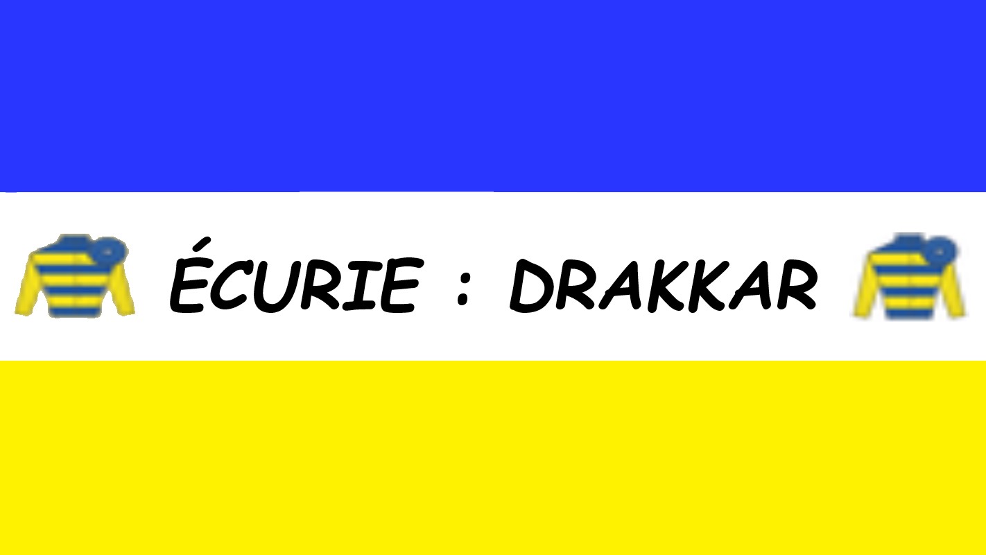 BANIERE DRAKKAR.jpg