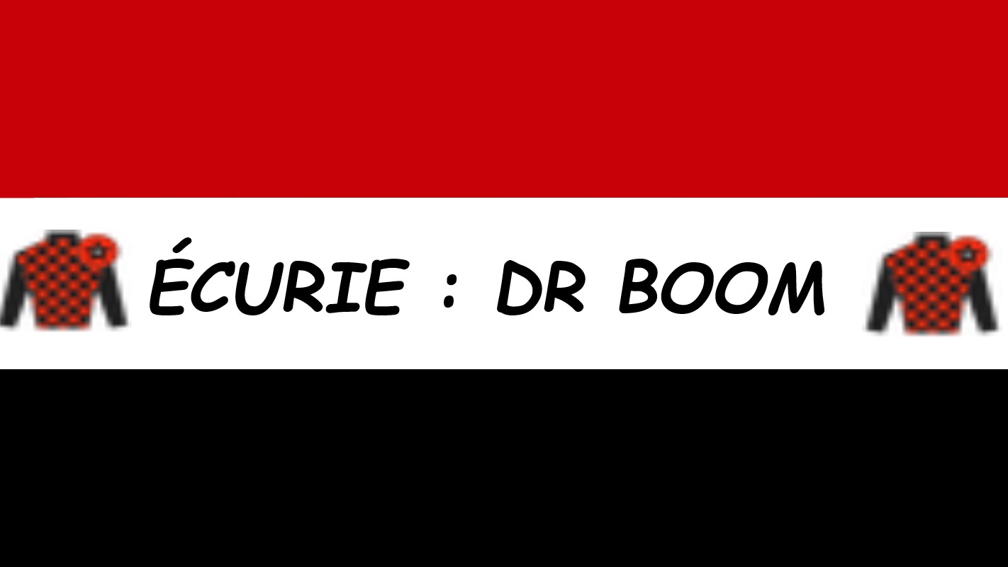 baniere Dr Boom.jpg