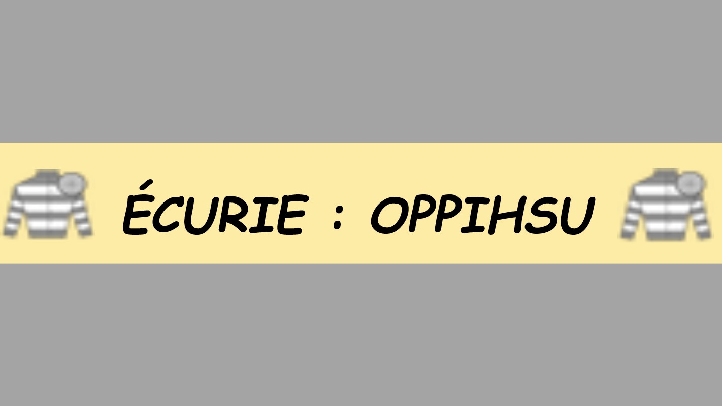 BANIERE OPPISU.jpg