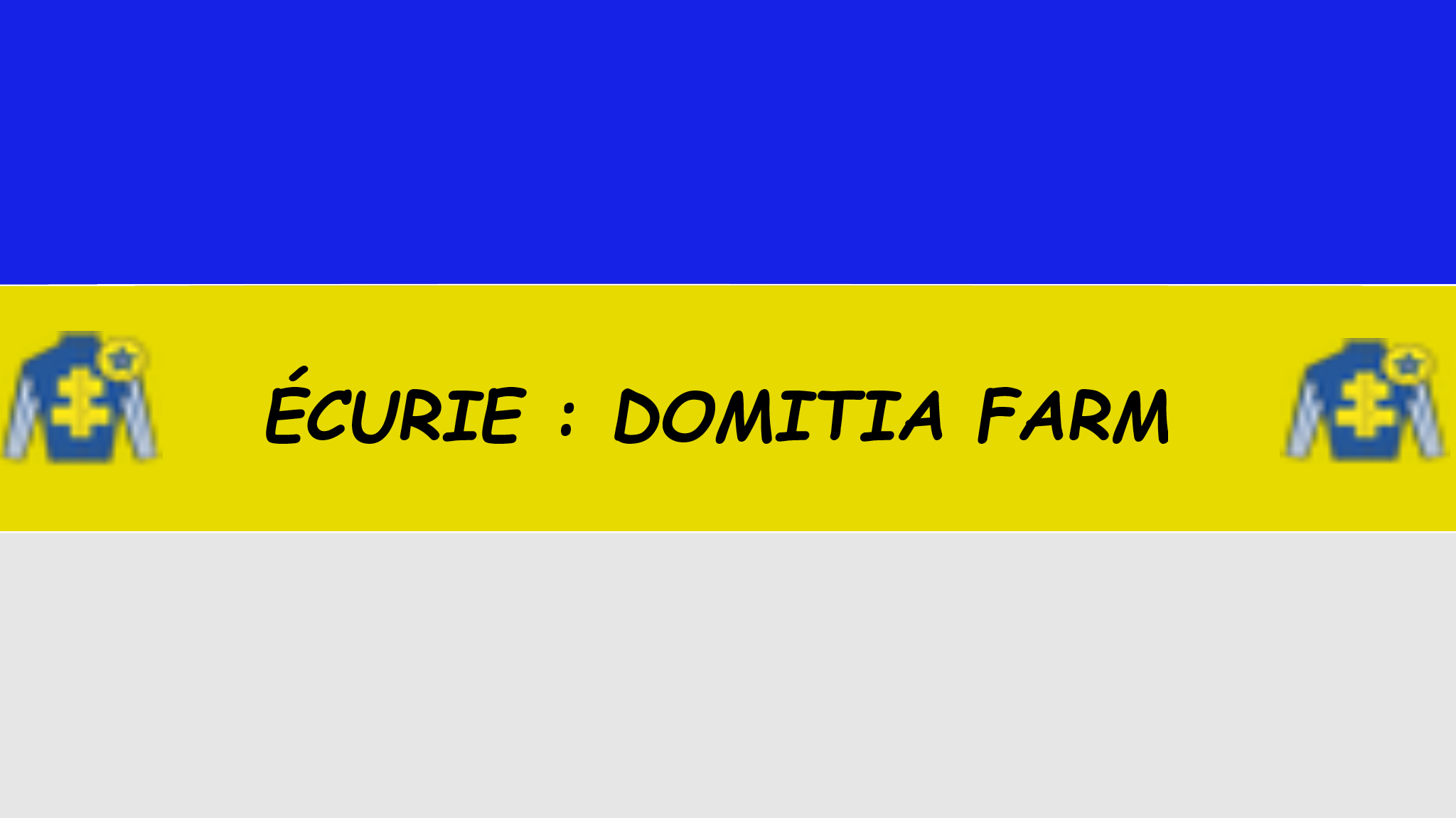 baniere domitia.png