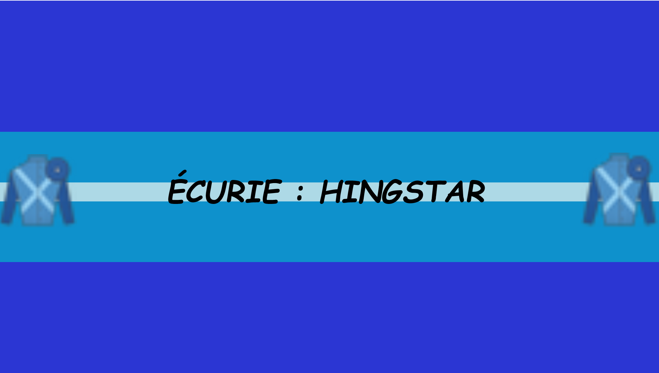 BANIERE HINGSTAR.png