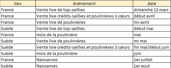 planning des evenements.jpg